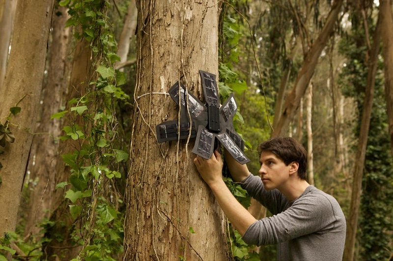 استفاده از داده های به هنگام برای جلوگیری از جنگل زدایی NobkaWays IoT is Saving the Environment
